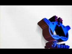 Introducción del fabricante de Fushixin CMC